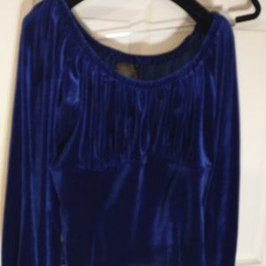 Pin up couture blue velvet swan top 2x